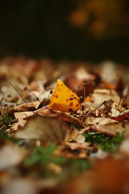 ​热火控制欲VS勇士松弛感 JB不想被控制只想赢球与勇士不谋而合.