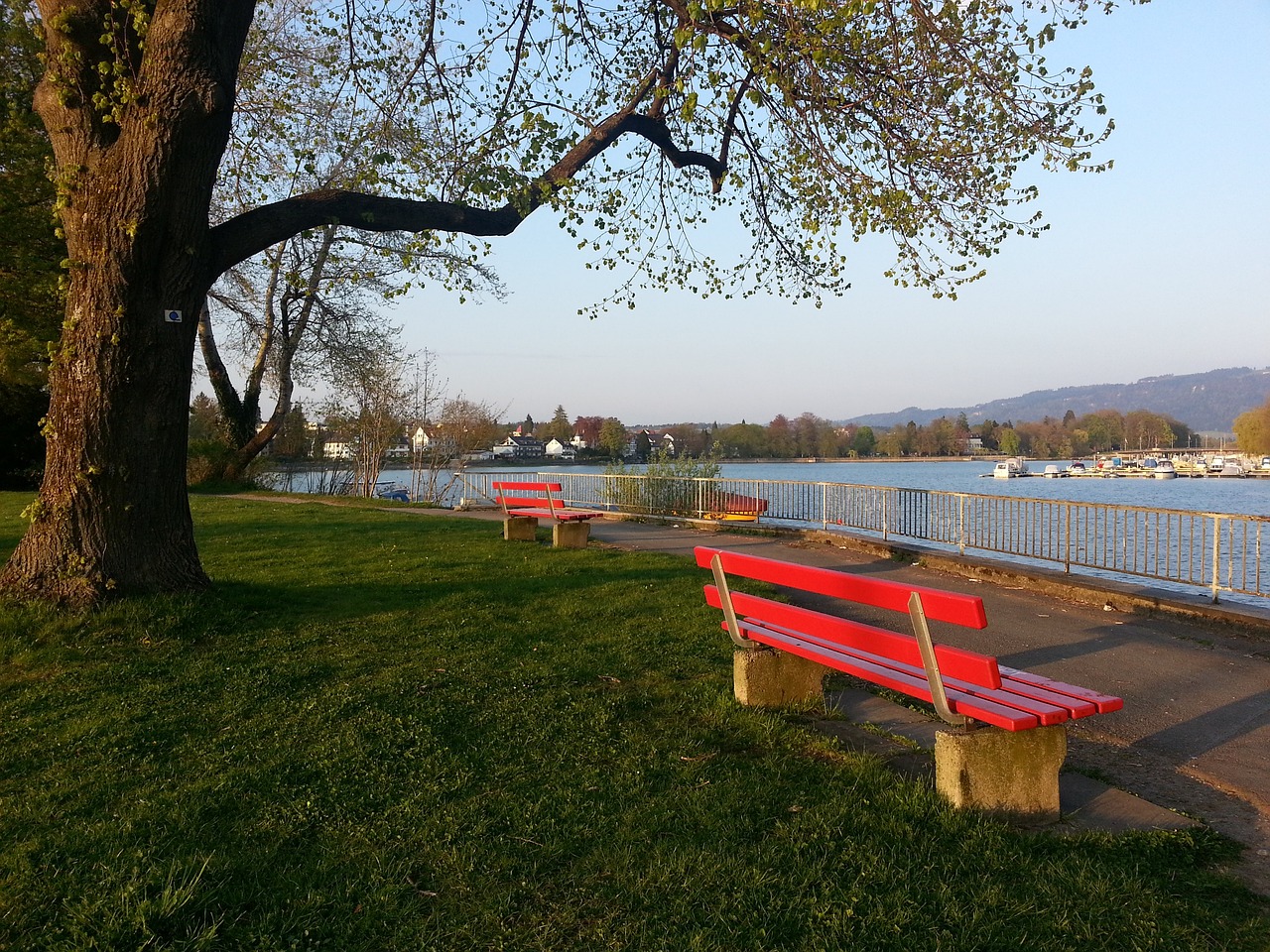 几乎无一例 几乎无一例