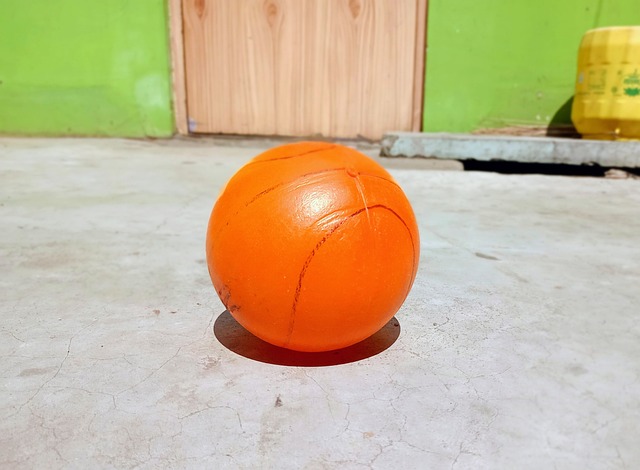 奧巴梅揚個人資料介紹.