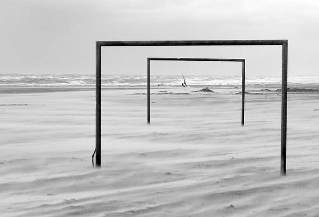 博格的表现 博格的表现