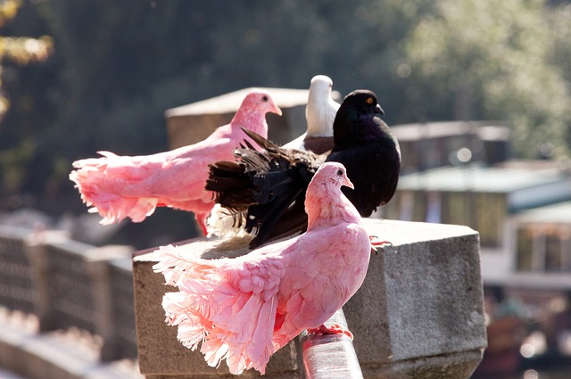 强大的后勤 强大的后勤