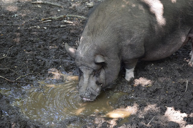 有排名压力 有排名压力
