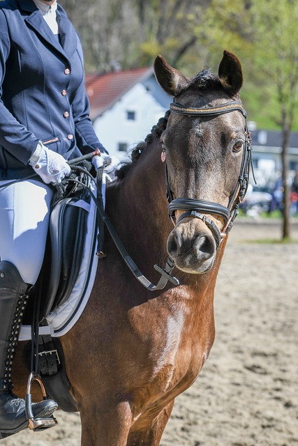 推进国有资产调剂共享 全国行政事业单位有了平台.