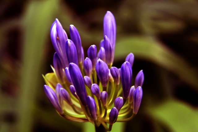 巴塞罗那 巴塞罗那