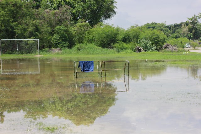 战术安排和 战术安排和